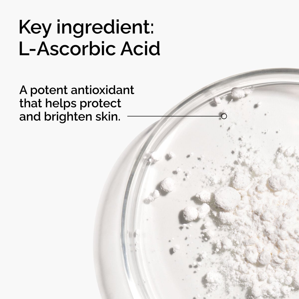 100-l-ascorbic-acid-powder-g7 FY25-D41247-ORD-Web-PDP-100-LAscb-Pwd-1x1-EN-2a.jpg