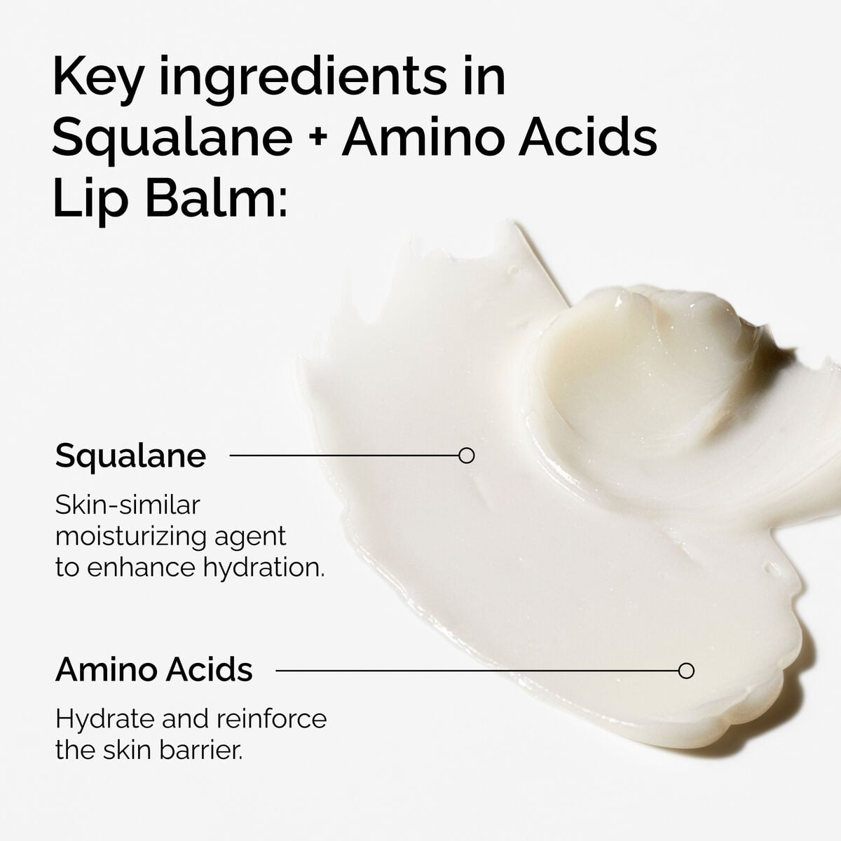 squalane-amino-acids-lip-balm-e7 FY25-D41247-ORD-Web-PDP-Sql-Amino-Lip-1x1-EN-2a.jpg