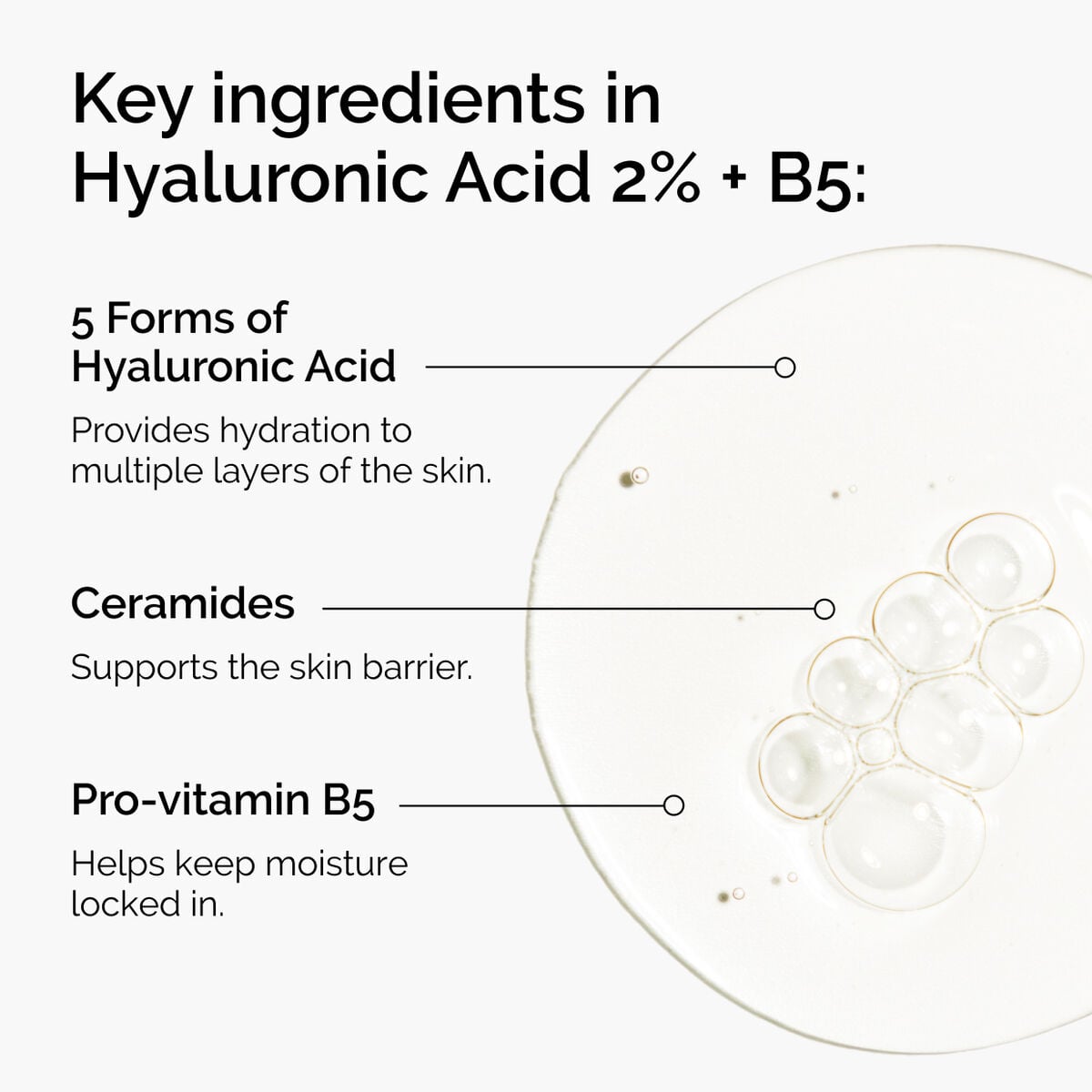 hyaluronic-acid-2-b5-with-ceramides-a4 ord-hyaluronic-acid-2pct-b5-hydrating-serum-ingredients-graphic.jpg